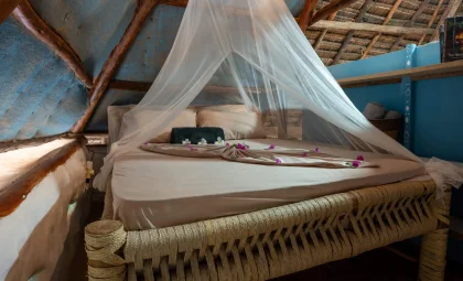 B6-19-scaled